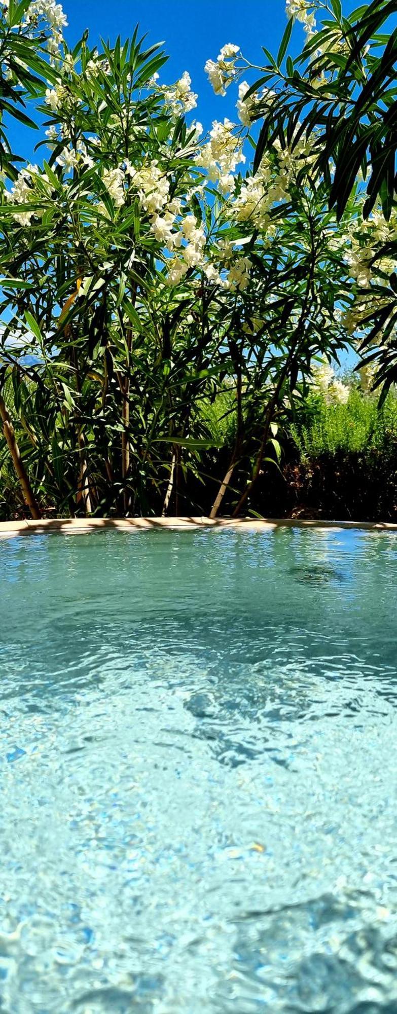 Salt & Stone Villa พาก ภายนอก รูปภาพ